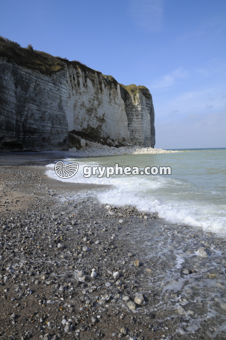 Erosion d'une falaise de craie en pays de Caux (Normandie) - gryphea.org